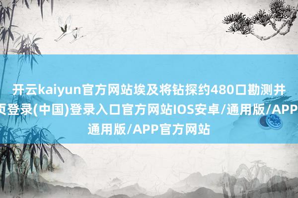 开云kaiyun官方网站埃及将钻探约480口勘测井-开云网页登录(中国)登录入口官方网站IOS安卓/通用版/APP官方网站